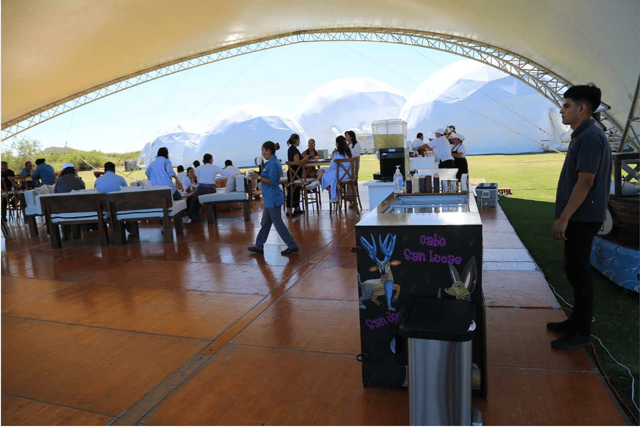 lanzameinto producto twin dolphin